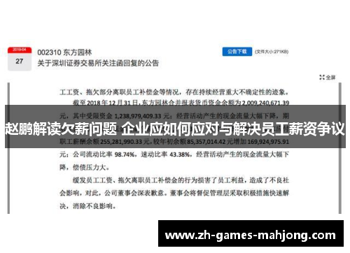 赵鹏解读欠薪问题 企业应如何应对与解决员工薪资争议